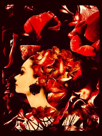 Claudia Bulut Collagen